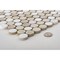 Andova Tiles Polka 1" x 1" Penny Round Mosaic Tile ANDPOL216 - alternate 7